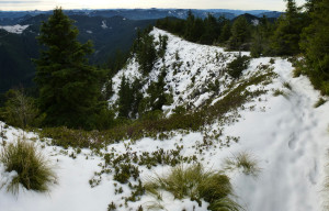 Panorama 1