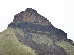 P1010617