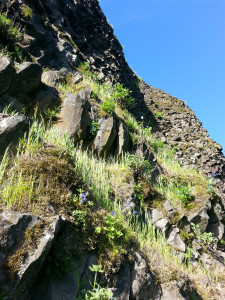 20140430_175158
