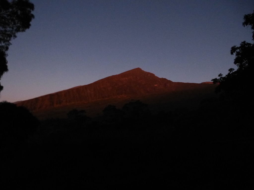 P1020260