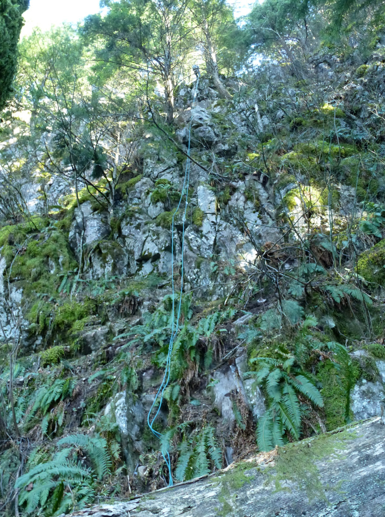 P1030343