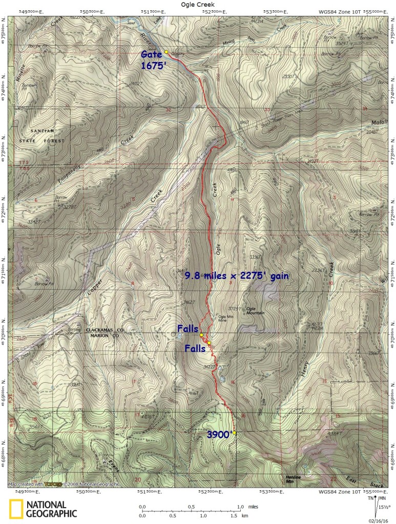 Ogle Creek 2-13-16