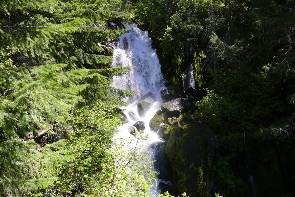 P1060198
