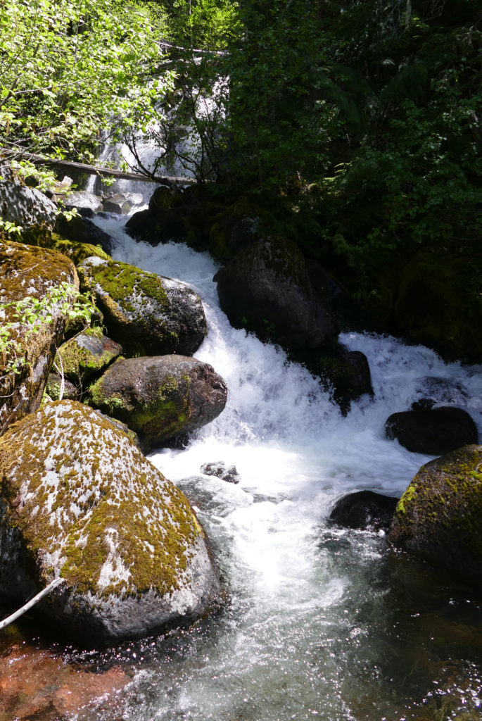 P1060246
