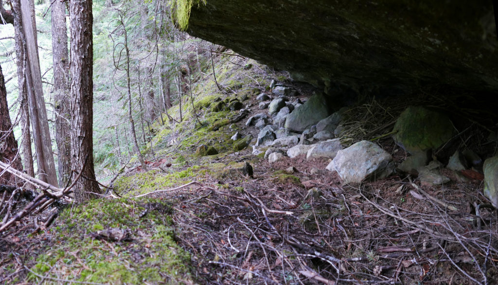 Panorama 9