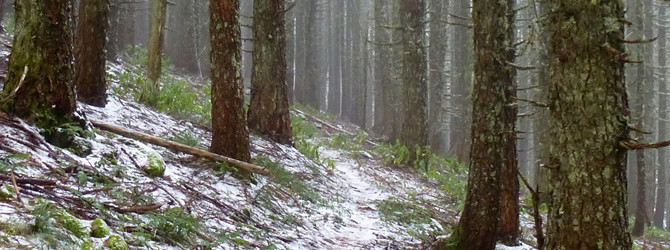 Pechuck Lookout – Table Rock Wilderness 11-17-13
