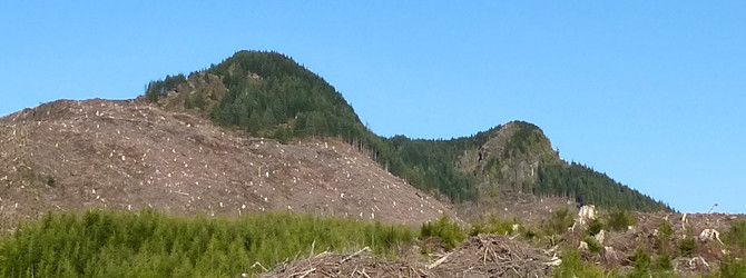 Twin Peaks – Recon 3-22-14 Twin Peaks – Recon 3-22-14