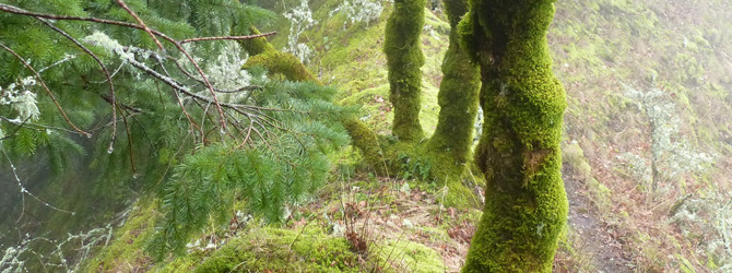 Ruckle Ridge Hike 2-1-15