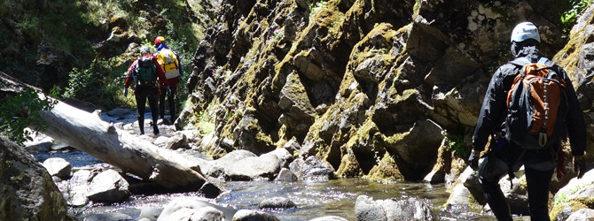 Parkett Creek Canyoneer 6-14-15