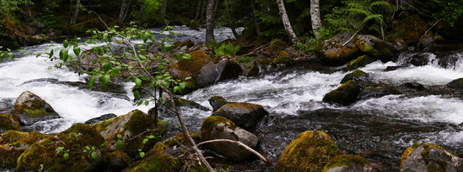 North Fork Breitenbush drop 6-4-16