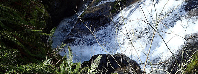 Triangulation Creek Canyoneer 3-31-18