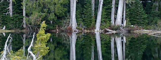 Secluded Lake 5-28-18