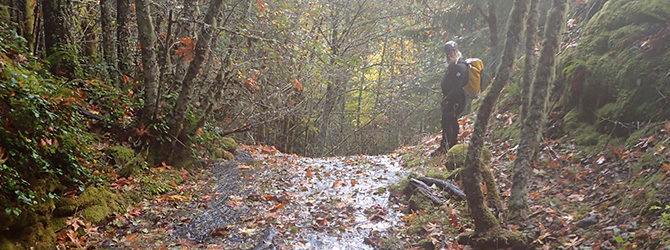 Mayflower Creek Canyoneer 10-28-18