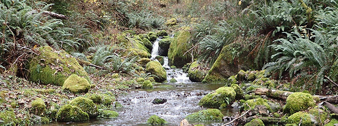 Smith Creek (aka Move along, nothing to see here Creek) Canyoneer 12-1-18 Smith Creek (aka Move along, nothing to see here Creek) Canyoneer 12-1-18