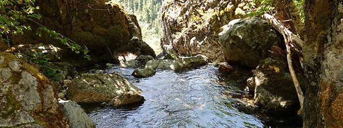 Twin Lakes Falls Explore 6-15-19