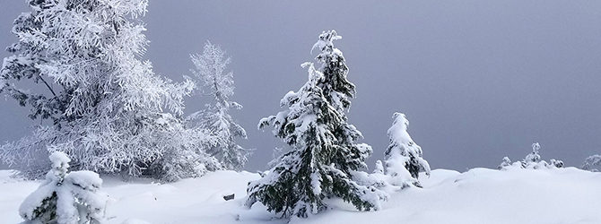Table Rock Image Creek 12-15-19