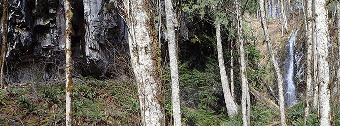 Big Washout Creek Canyoneer – West Fork 11-30-19