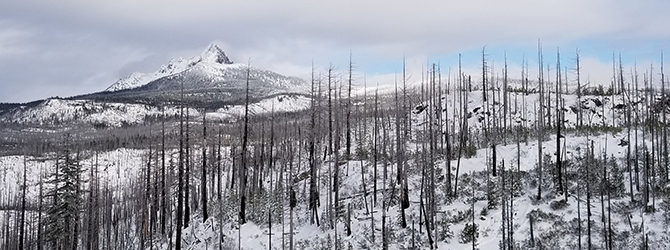 Hogg Rock Snowshoe 12-1-19