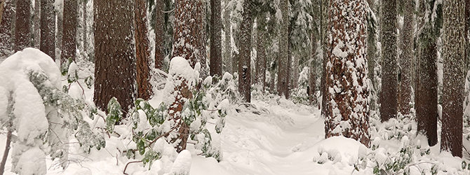 Whetstone Jawbone Loop 1-5-20