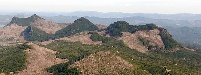 Sugarloaf Mountain 3-22-20