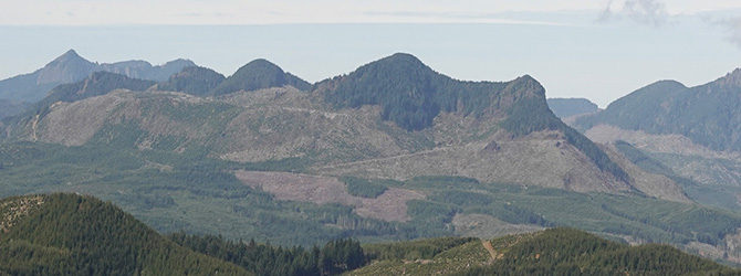 Humbug Mountain 4-26-20