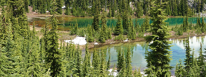 Table Lake (Jefferson Wilderness) 6-30-19