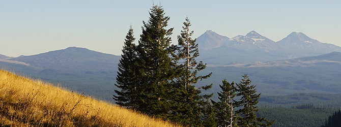 Crescent Mountain 11-1-20