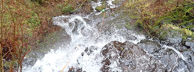 Jackass Creek Canyoneer 1-17-21