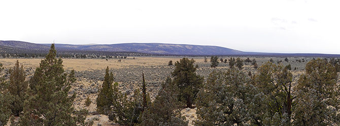 Badlands (south) 1-2-21