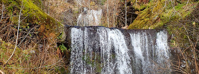 West Fork North Fork Salmonberry Canyoneer 3-13-21