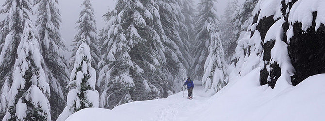 Elk Kings Loop 12-19-21