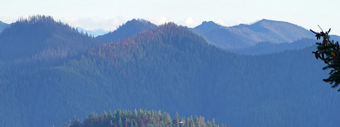 Table Rock to Pechuck Lookout 12-5-21