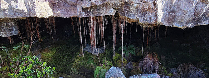 Emesine Cave (Lava Tube) 1-21-22
