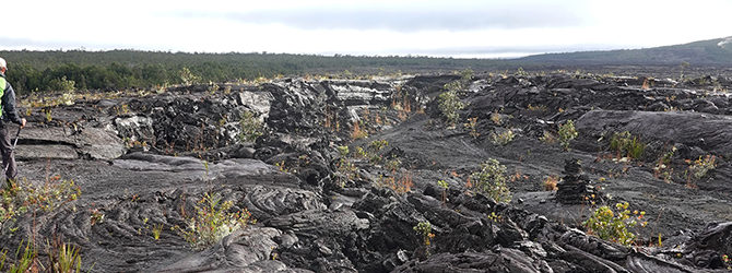 Napau Crater Hike 1-23-22