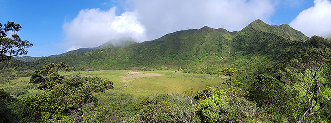 Ka’au Crater Loop (Palikea Peak) 1-12-22