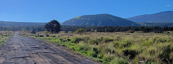 Puu Waawaa Crater 1-19-22