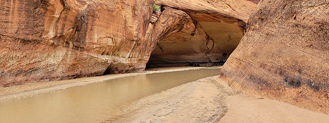 Buckskin / Paria Canyon 6-22-23
