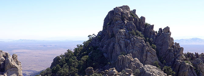 New York Mountain 11-11-23
