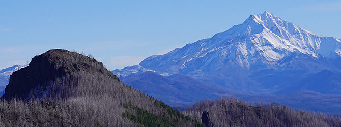 Sardine Mountain via Mayflower Trail Loop 11-25-23