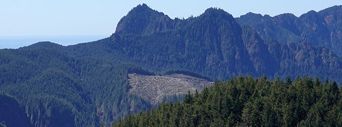 Sugarloaf Mountain 4-19-24